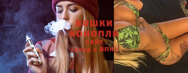 не бодяженный Заводоуковск
