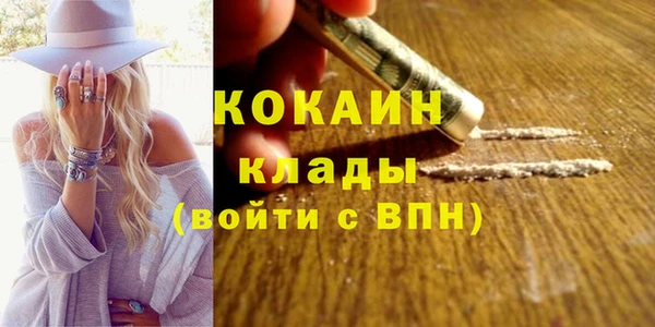 мет Елизово