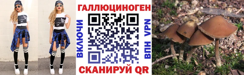 Псилоцибиновые грибы Magic Shrooms  Купить где  Рузаевка 